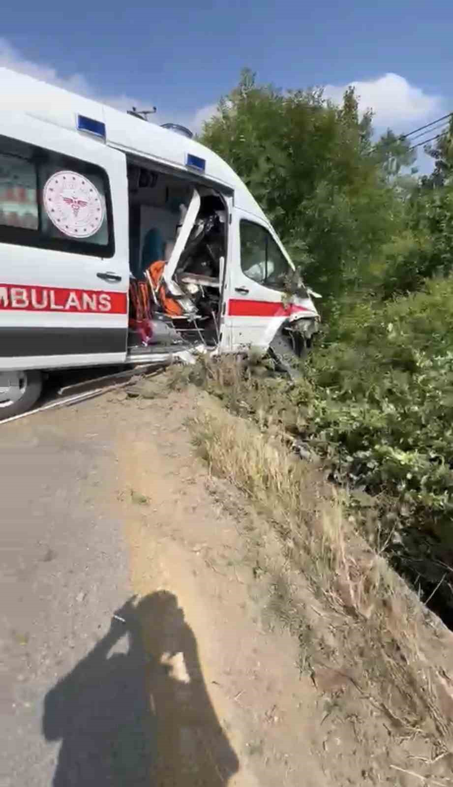 Hasta taşıyan ambulans yoldan çıktı!