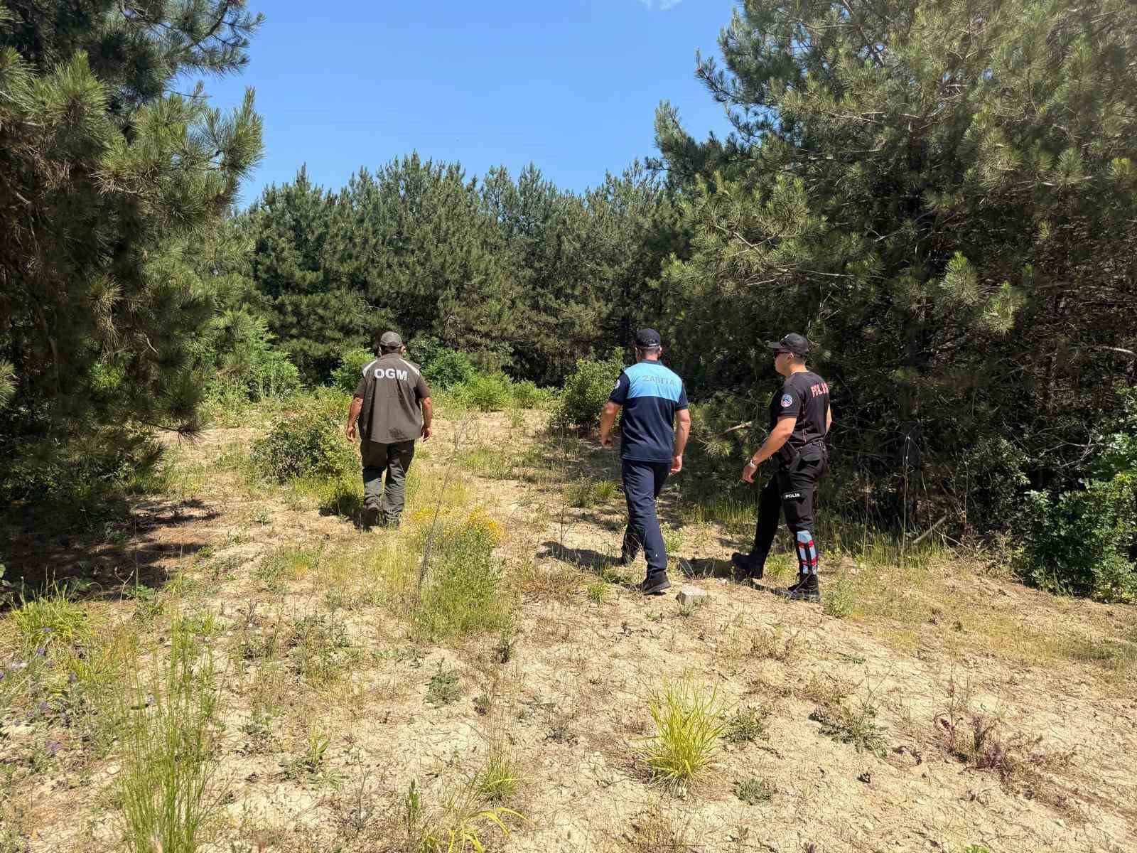 Dilovası’nda orman yangınlarına karşı sıkı denetim