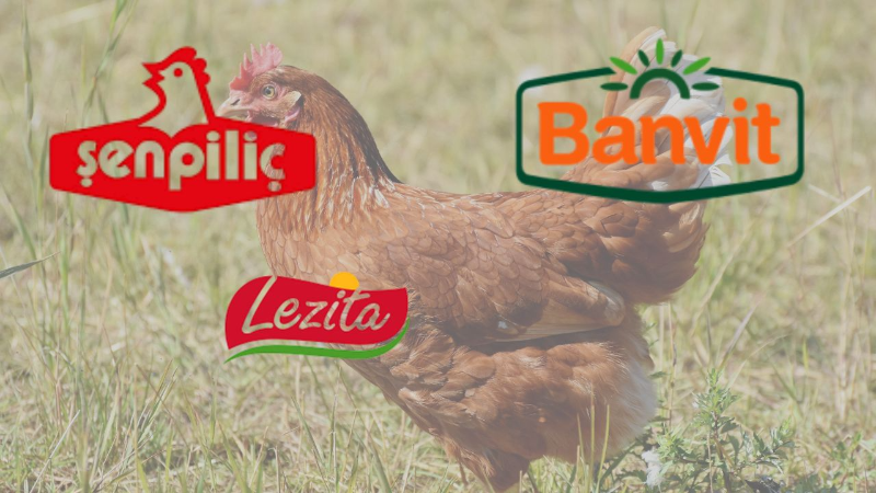 Beyaz et sektörüne operasyon