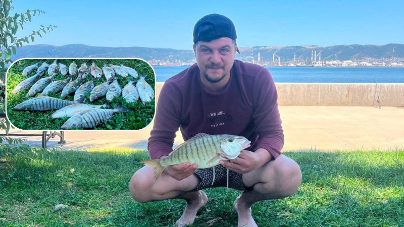 İzmit Körfezi’nde mır mır bereketi
