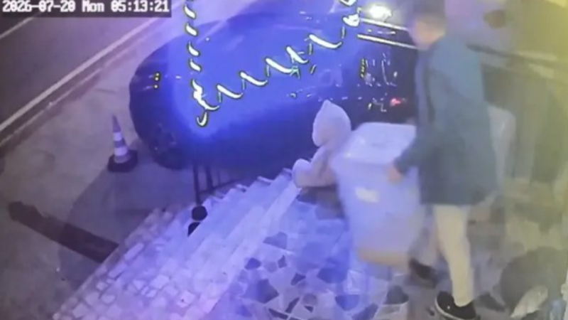 İlginç hırsızlık: Petshop önündeki mama kutusunu çaldı