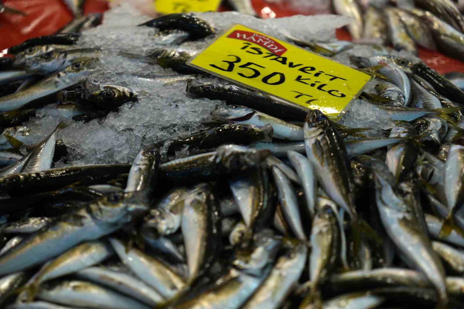 Kocaeli'de balık tezgahlarındaki son durum