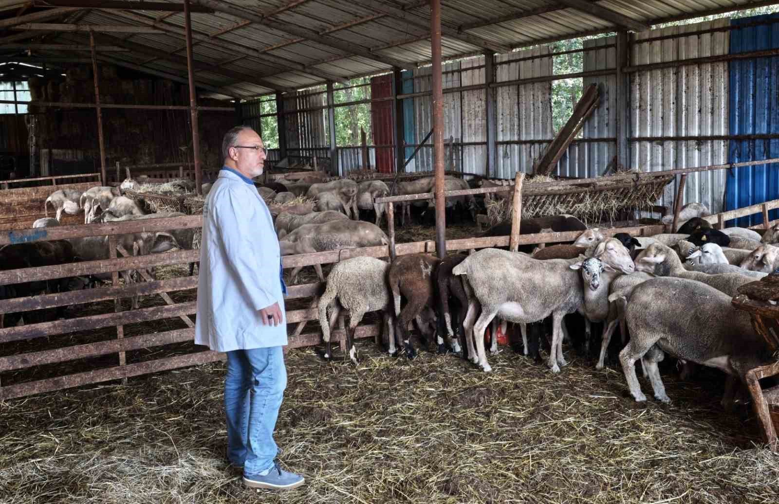 Süt kalitesi ve hayvan sağlığı güvence altında
