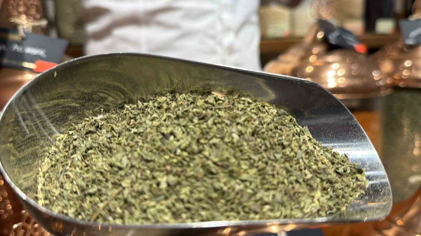 Yalova kekiği ilaç sektörünün gözdesi
