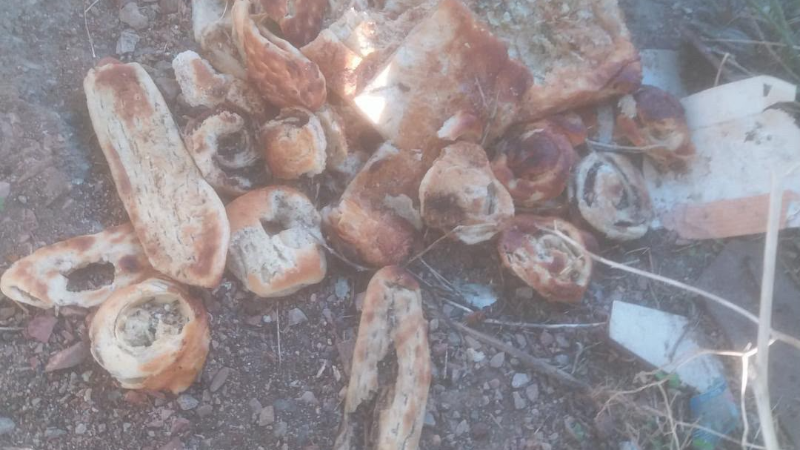 Dere kenarına atılan ekmekler tepki çekti