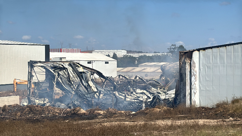 Kocaeli'de kimya fabrikasında yangın: 2 işçi yaralandı, 2 at telef oldu