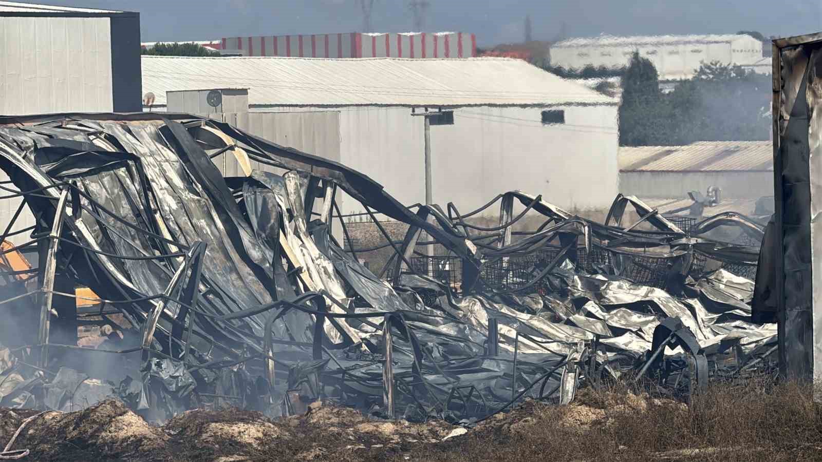 Kocaeli’de kimya fabrikasında yangın: 2 işçi yaralandı, 2 at telef oldu
