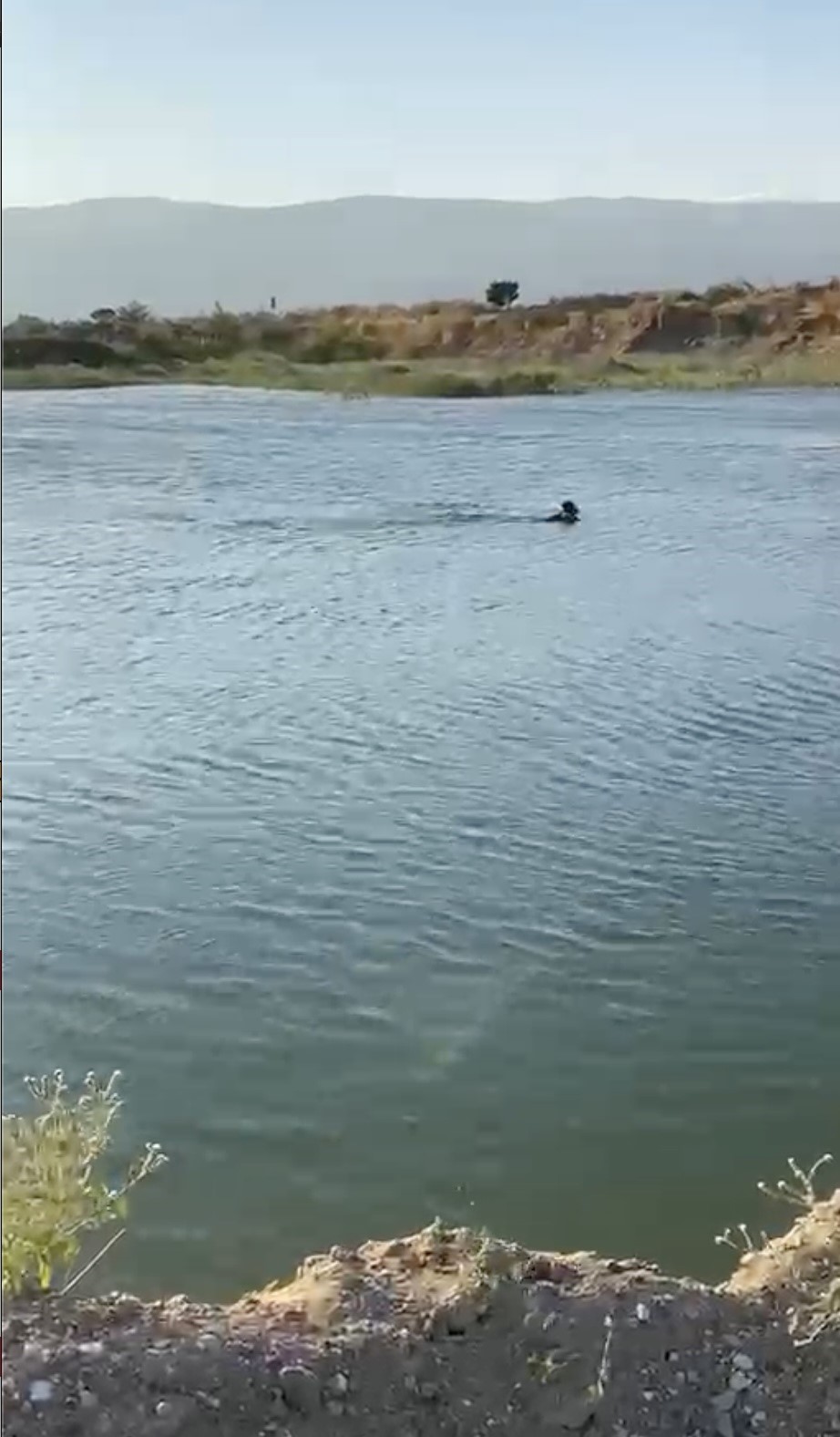 Serinlemek için girdiği göletten cansız bedeni çıktı
