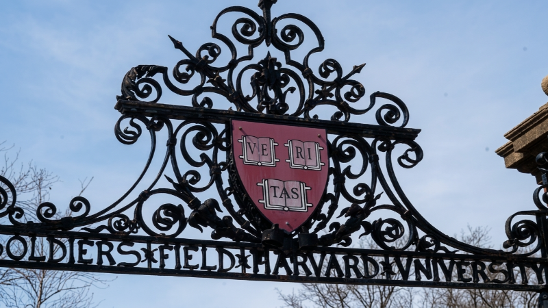 Harvard'da büyük skandal: Bağışlanan insan bedenlerini sattılar