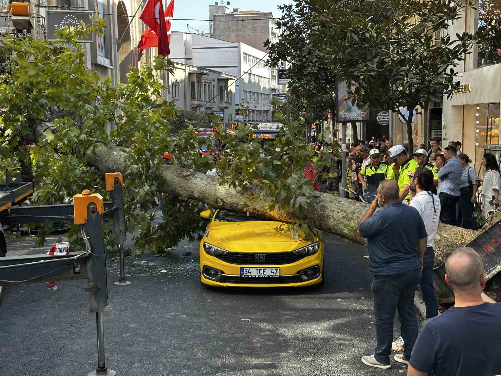 Şişli’de araçların üzerine devrilen çınar ağacı kaldırıldı
