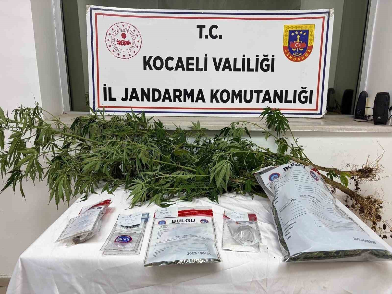 Kocaeli’de 1 kilo esrar ele geçirildi