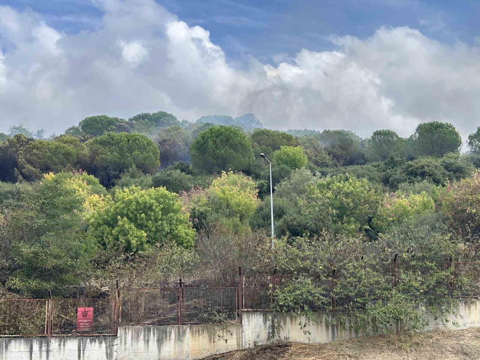 Maltepe’de ormanlık alanda korkutan yangın: Alevler Kenan Evren Kışlası’na sıçradı

