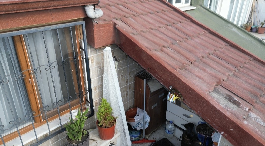 Sultangazi’de çatı katını arılar bastı: Arıların soktuğu kadın hastanelik oldu