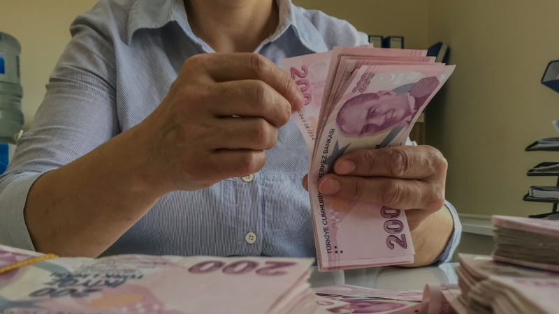 Vatandaşlık maaşı kimlere verilecek?