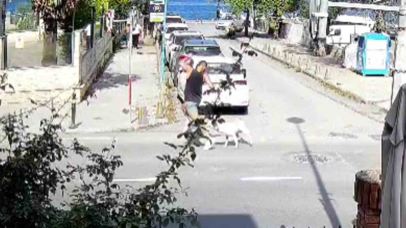 Sarıyer’de başıboş köpekler vatandaşları tedirgin ediyor
