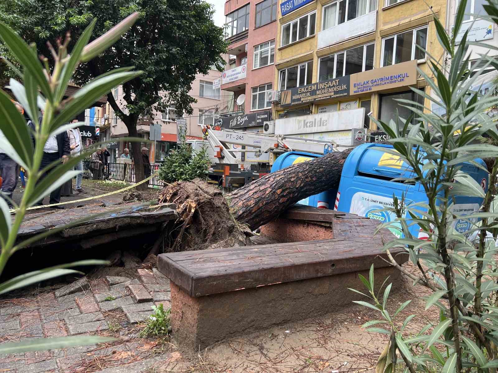 İzmit’te parkta ağaç devrildi