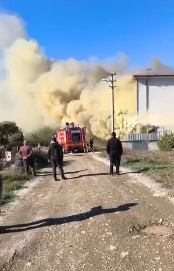 Mobilya dükkanındaki yangın paniğe neden oldu
