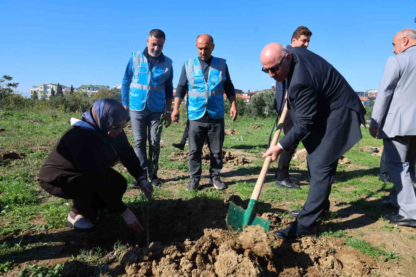 Darıca’da Zeytin Festivali kapsamında 100 fidan dikildi
