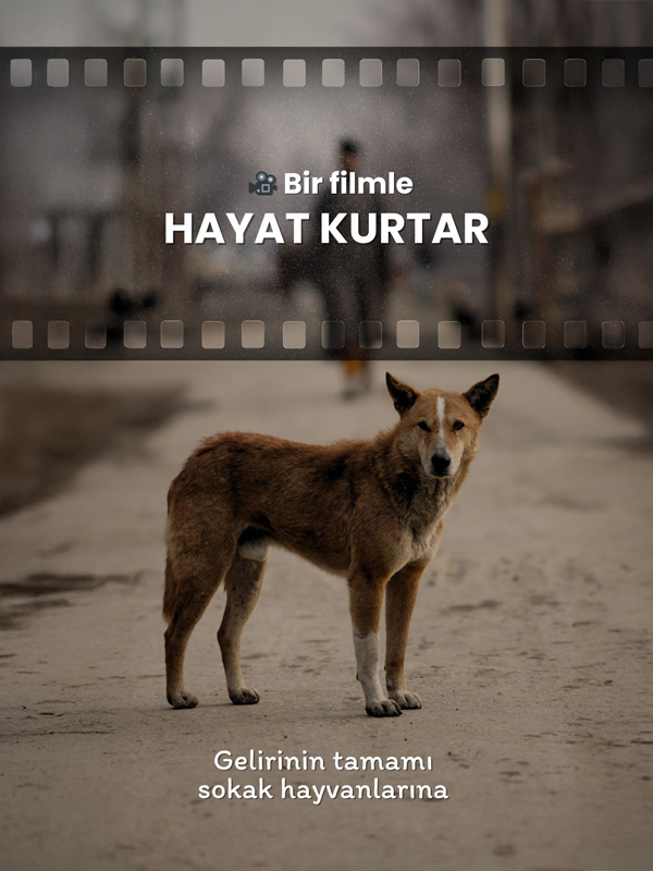 "Dünya Hayvanları Koruma Günü" film gösterimi - Kocaeli Duysun - Şehre Dair Her Şey