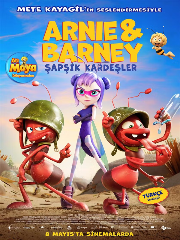 Arnie & Barney Şapşik Kardeşler - Kocaeli Duysun - Şehre Dair Her Şey