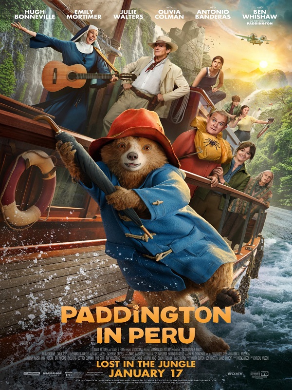 Ayı Paddington: Ormanda Macera - Kocaeli Duysun - Şehre Dair Her Şey