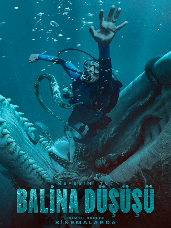 Balina Düşüşü - Kocaeli Duysun - Şehre Dair Her Şey
