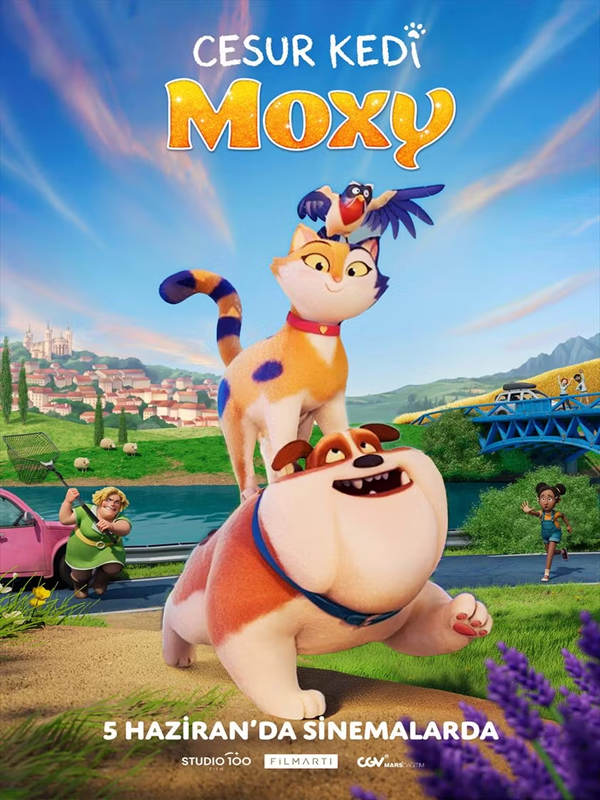 Cesur Kedi Moxy - Kocaeli Duysun - Şehre Dair Her Şey