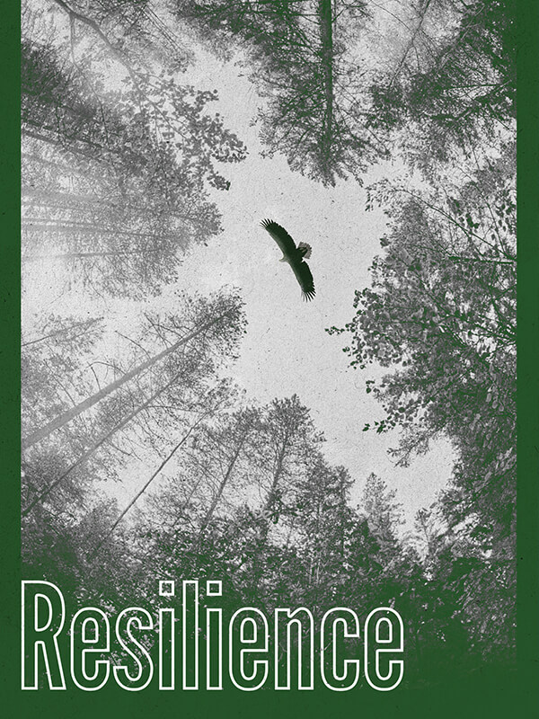 Dayanma Gücü - Kocaeli Duysun - Şehre Dair Her Şey