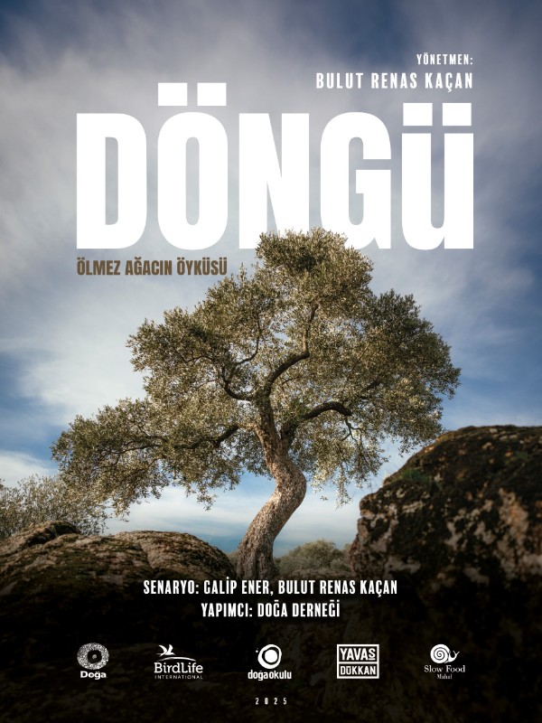 Döngü - Kocaeli Duysun - Şehre Dair Her Şey