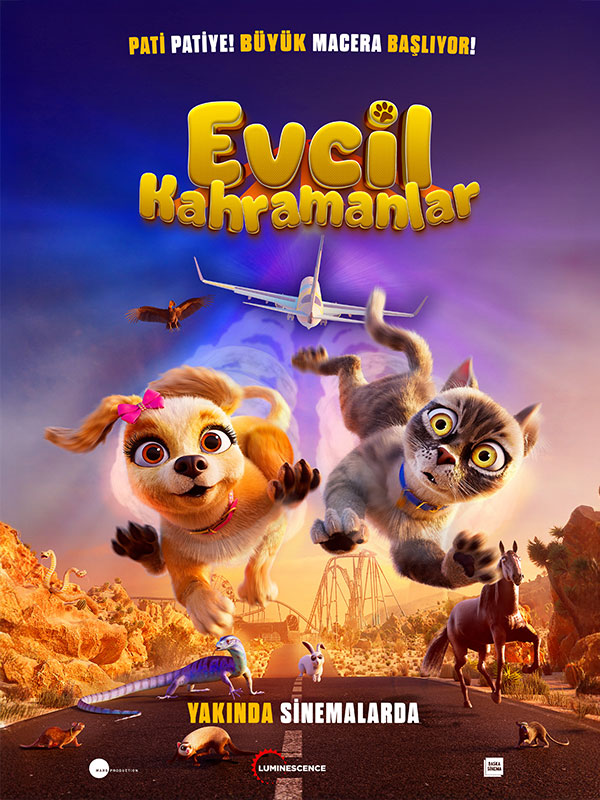 Evcil Kahramanlar - Kocaeli Duysun - Şehre Dair Her Şey