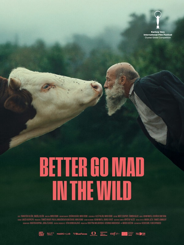 Festival - Doğada Delirmek Daha İyi - Kocaeli Duysun - Şehre Dair Her Şey