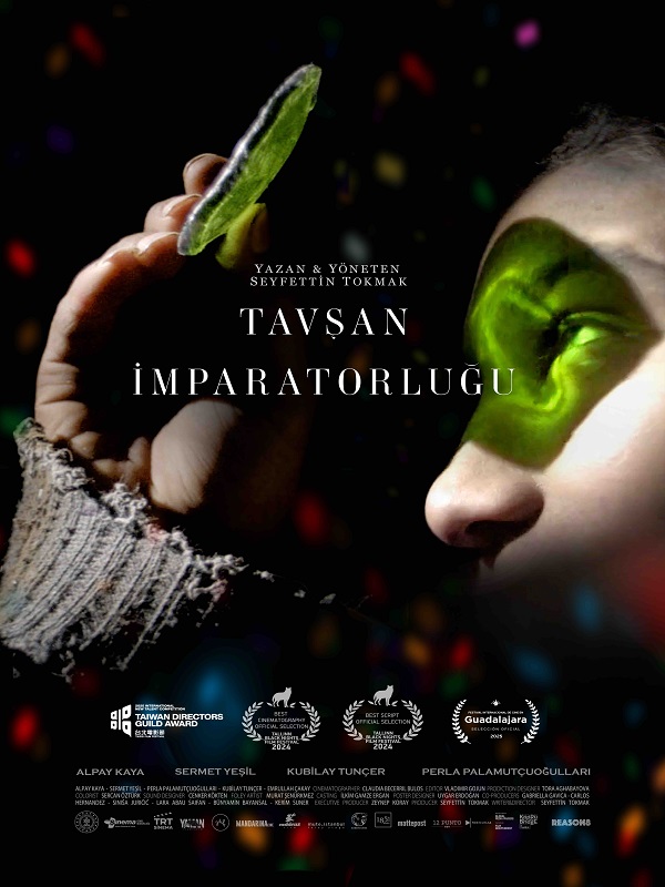 Festival - Tavşan İmparatorluğu - Kocaeli Duysun - Şehre Dair Her Şey