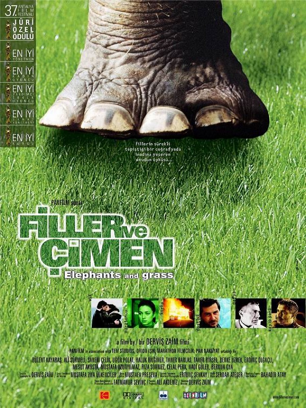 Filler ve Çimen - Kocaeli Duysun - Şehre Dair Her Şey