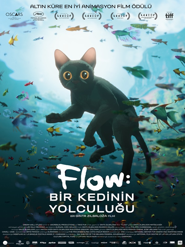 Flow: Bir Kedinin Yolculuğu - Kocaeli Duysun - Şehre Dair Her Şey