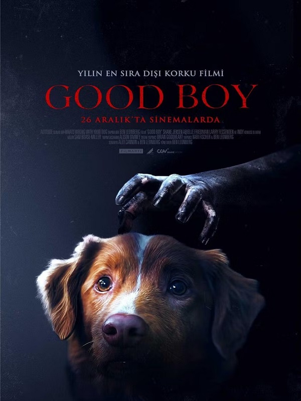 Good Boy - Kocaeli Duysun - Şehre Dair Her Şey