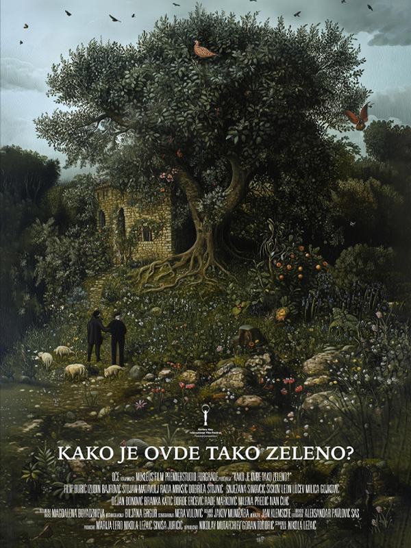 Kako je ovdje tako zeleno? - Kocaeli Duysun - Şehre Dair Her Şey