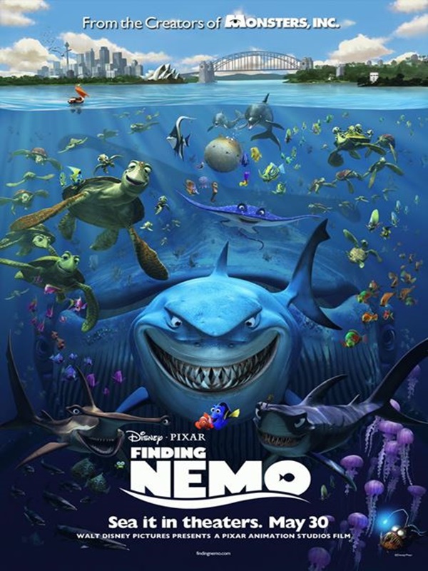 Kayıp Balık Nemo - Kocaeli Duysun - Şehre Dair Her Şey