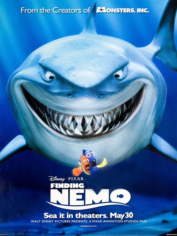 Kayıp Balık Nemo - Kocaeli Duysun - Şehre Dair Her Şey