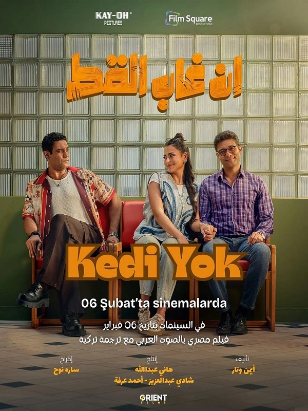 Kedi Yok - Kocaeli Duysun - Şehre Dair Her Şey