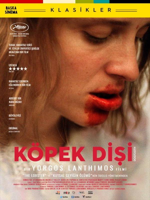 Köpek Dişi - Kocaeli Duysun - Şehre Dair Her Şey