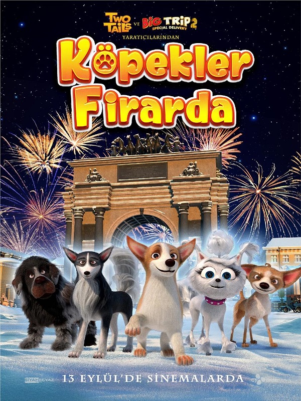 Köpekler Firarda - Kocaeli Duysun - Şehre Dair Her Şey