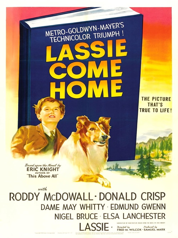 Lassie se vraća kući (1943.) - Kocaeli Duysun - Şehre Dair Her Şey