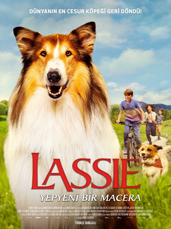 Lassie: Yepyeni Bir Macera - Kocaeli Duysun - Şehre Dair Her Şey