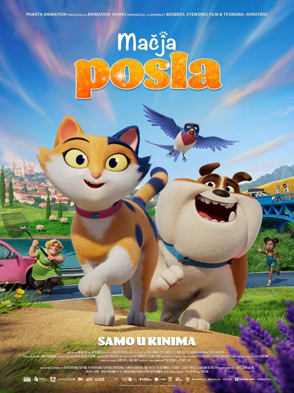 Mačja posla - SINK - Kocaeli Duysun - Şehre Dair Her Şey