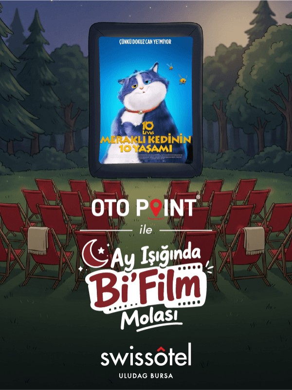 Meraklı Kedinin 10 Yaşamı (10 Lives) - Kocaeli Duysun - Şehre Dair Her Şey