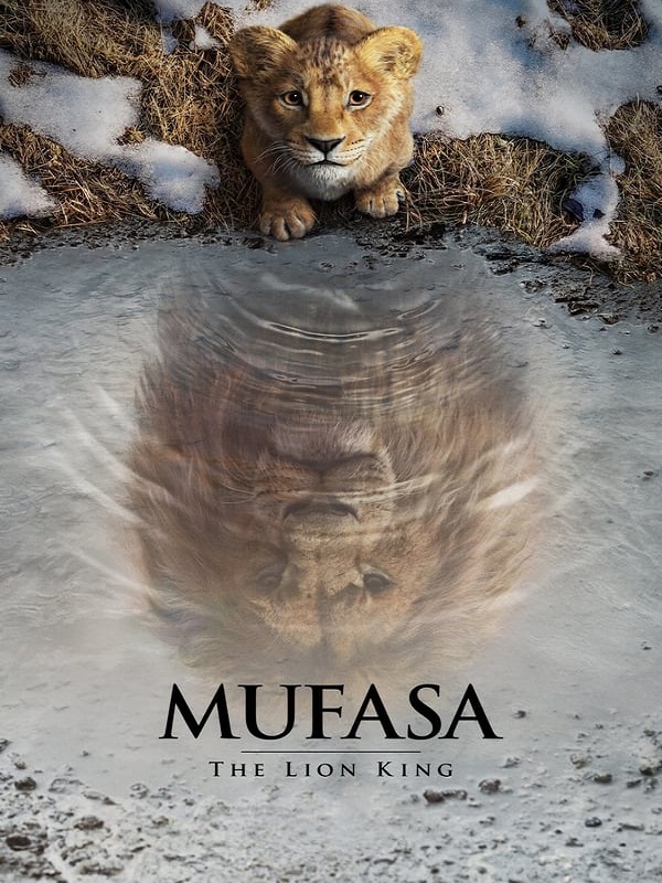 Mufasa - Kocaeli Duysun - Şehre Dair Her Şey