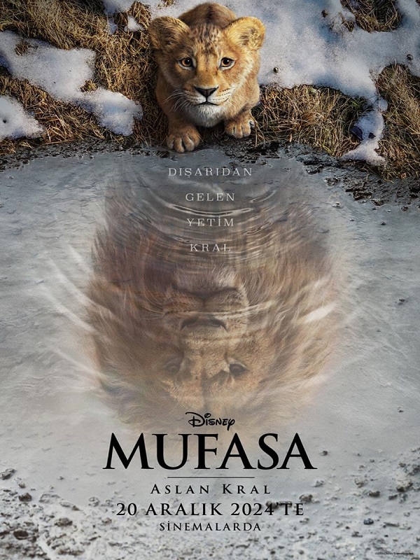 Mufasa: Aslan Kral - Kocaeli Duysun - Şehre Dair Her Şey