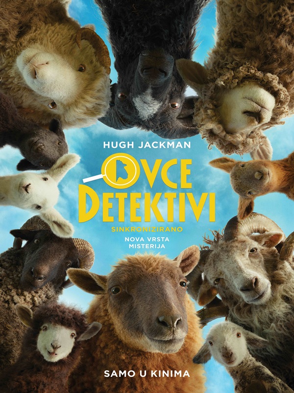Ovce detektivi - SINK - Kocaeli Duysun - Şehre Dair Her Şey