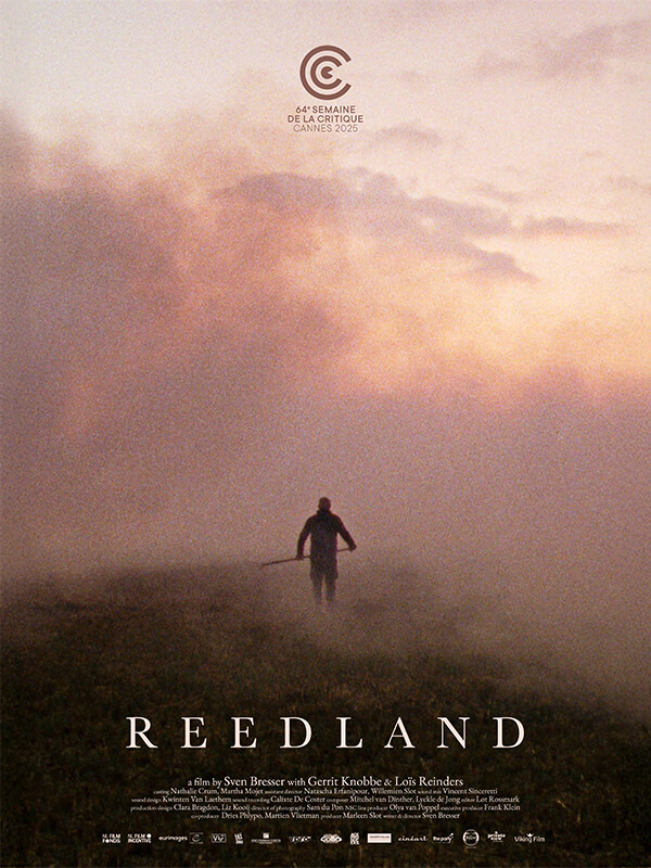 Sazlıkta Cinayet - Kocaeli Duysun - Şehre Dair Her Şey