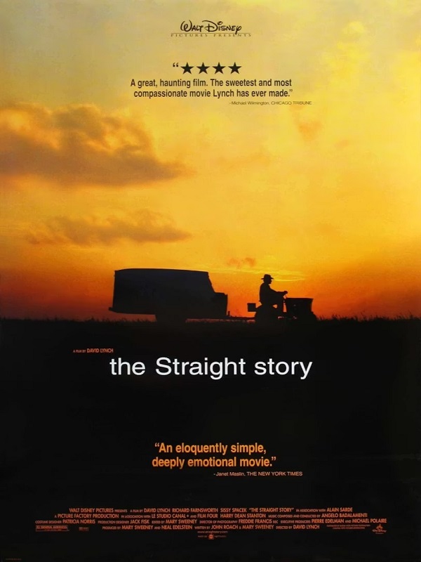 Straight'in Hikayesi - Kocaeli Duysun - Şehre Dair Her Şey